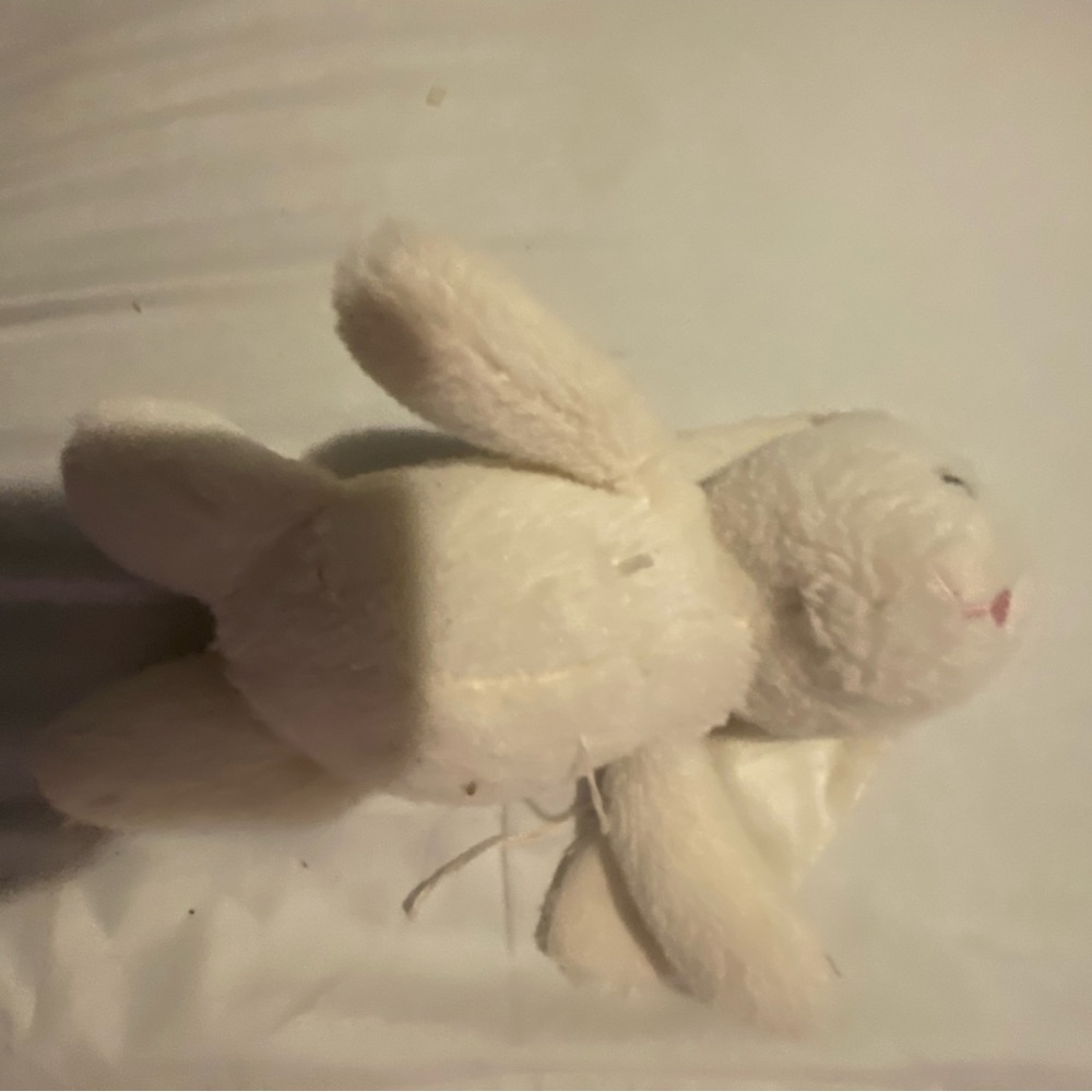 Stuffed animal